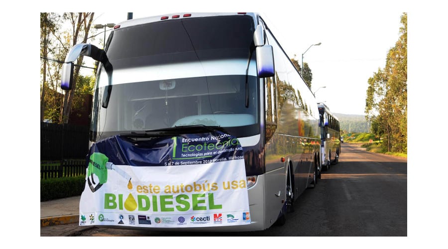 Busca UNAM producir biocombustibles con microalgas