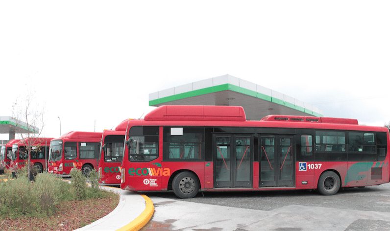 Planean adquirir más autobuses para el sistema Ecovía