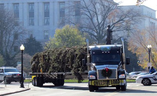 Transporta Kenworth árbol navideño al Capitolio