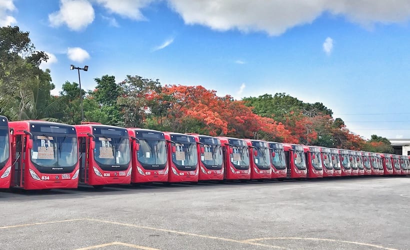 Nuevos autobuses Torino circularán en rutas exprés de Cancún