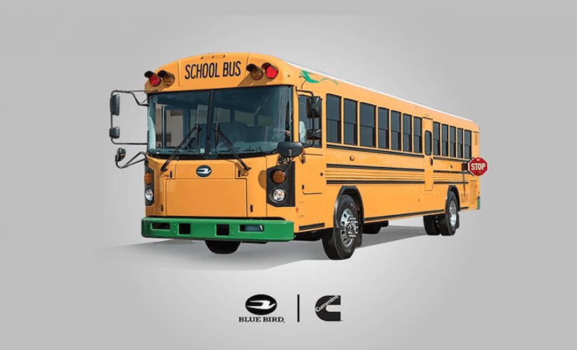 Éxito de Blue Bird y Cummins con autobús escolar eléctrico-Magazzine del Transporte
