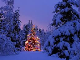 árboles de Navidad