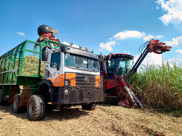 VWCO entrega 20 camiones Agrónomos para alquiler agroindustrial